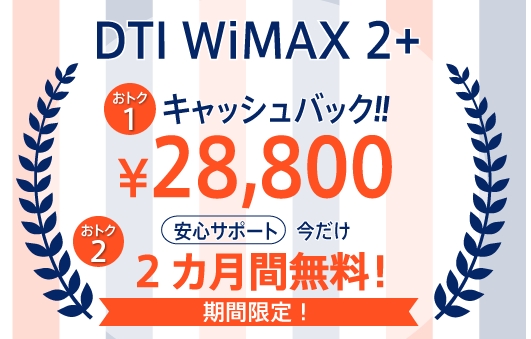 DTI WiMAXC[W1
